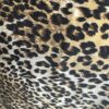 Straples animal print